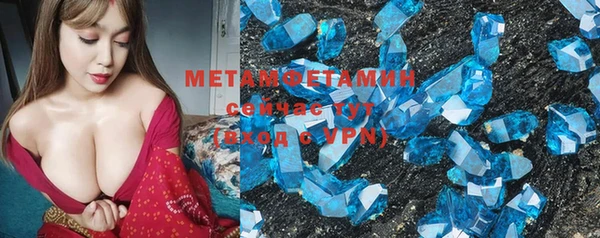 трава Карпинск