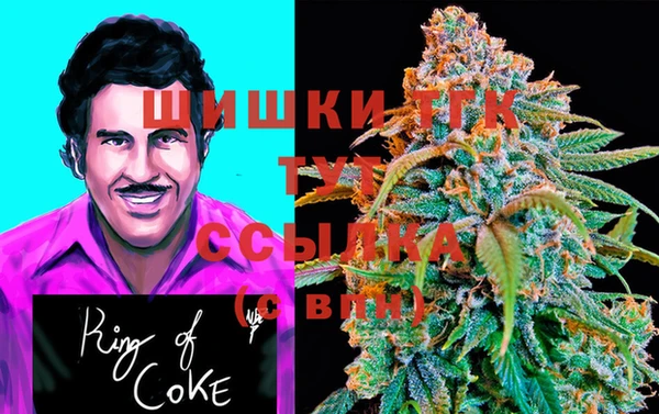 PSILOCYBIN Карталы