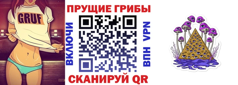 Псилоцибиновые грибы Magic Shrooms  Купить где  Дятьково 