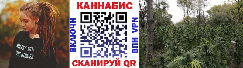 Бошки Шишки THC 21% Дятьково